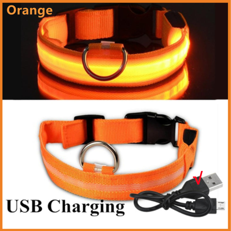 USB Rechargeable LED Dog Collar – Adjustable Glow-in-the-Dark Pet Safety Collar